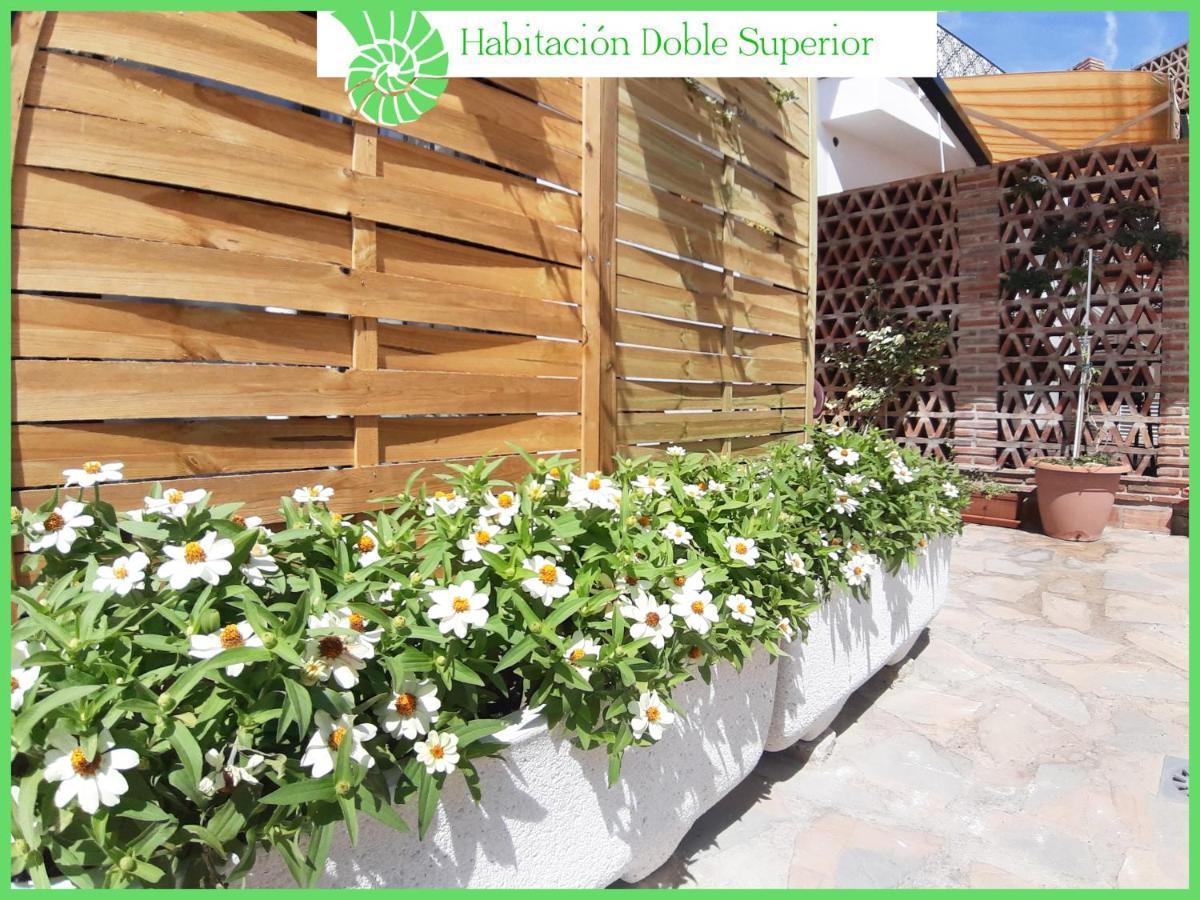 Biznaga Hols (Adults Only) Daire Benalmádena Dış mekan fotoğraf